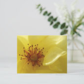 Carte postale rose jaune (Debout devant)