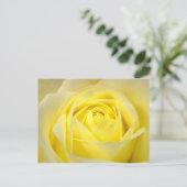 Carte Postale Rose jaune (Debout devant)