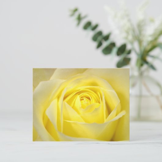 Carte Postale Rose jaune (Debout devant)