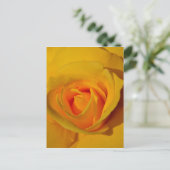 Carte Postale Rose jaune (Debout devant)
