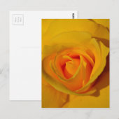 Carte Postale Rose jaune (Devant / Derrière)
