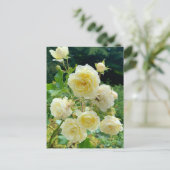 Carte postale rose jaune (Debout devant)