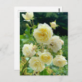 Carte postale rose jaune (Devant / Derrière)