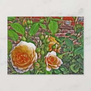 Carte Postale Rose jaune au jardin de Hampton Court