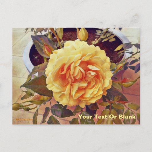 Carte Postale Rose jaune colorée (Devant)