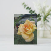 Carte Postale Rose jaune complexe (Debout devant)