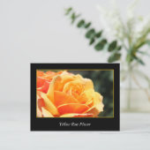 Carte Postale rose jaune fleur, amour et romance (Debout devant)