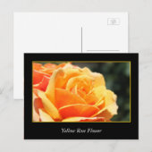 Carte Postale rose jaune fleur, amour et romance (Devant / Derrière)