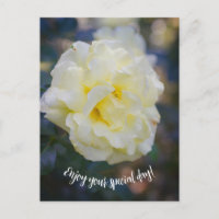Rose jaune pâle