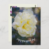 Carte Postale Rose jaune pâle (Devant / Derrière)