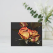 Carte Postale Rose jaune rouge (Debout devant)