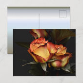 Carte Postale Rose jaune rouge (Devant / Derrière)