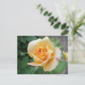Carte Postale Rose jaune spirale (Debout devant)