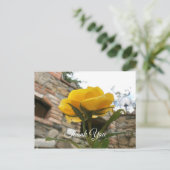 Carte Postale Rose jaune toscane. Merci. (Debout devant)