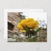 Carte Postale Rose jaune toscane. Merci. (Devant / Derrière)
