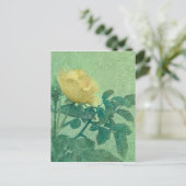 Carte Postale Rose jaune Vintage (Debout devant)