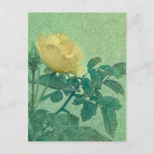 Carte Postale Rose jaune Vintage
