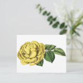 Carte Postale Rose jaune vintage (Debout devant)