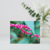 Carte postale Rose Little Flowers (Debout devant)