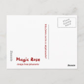 Carte Postale Rose magique (Dos)