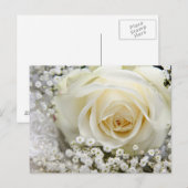 Carte Postale Rose mariage (Devant / Derrière)