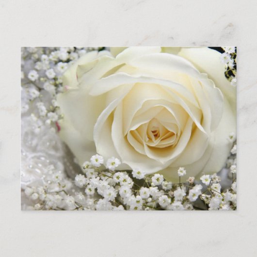 Carte Postale Rose mariage (Devant)