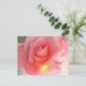 Carte Postale rose Merci (Debout devant)