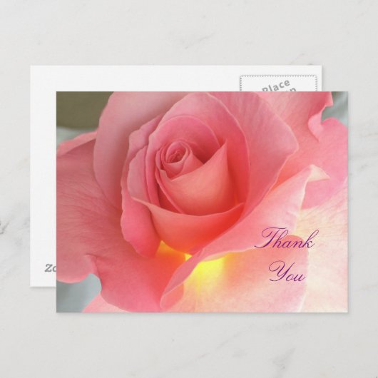 Carte Postale rose Merci (Devant / Derrière)