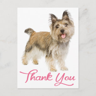 Carte postale rose Merci Chiot Cairn Terrier