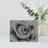 Carte postale Rose monochromatique (Debout devant)