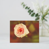 Carte Postale Rose muet (Debout devant)