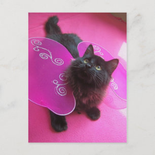 Carte Postale Rose n Purty