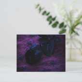 Carte postale Rose noir (Debout devant)