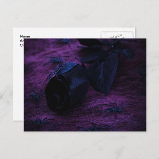 Carte postale Rose noir (Devant / Derrière)