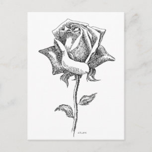 Carte Postale Rose noir et blanc