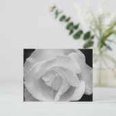Carte Postale Rose noir et blanc (Debout devant)