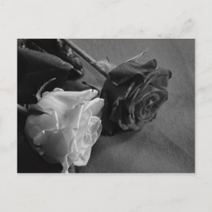 Carte Postale Rose noire et blanche