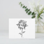 Carte Postale Rose noire et blanche (Debout devant)