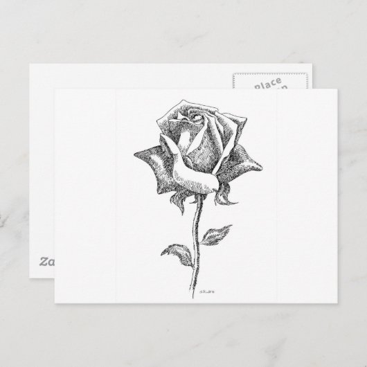 Carte Postale Rose noire et blanche (Devant / Derrière)