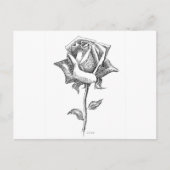 Carte Postale Rose noire et blanche (Devant)