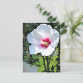 Carte Postale Rose of Sharon (Debout devant)
