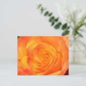 Carte postale Rose Orange (Debout devant)