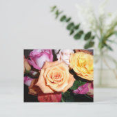 Carte Postale Rose orange (Debout devant)