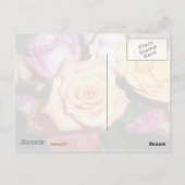Carte Postale Rose orange (Dos)