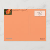 Carte Postale Rose orange (Dos)
