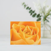 Carte Postale Rose orange (Debout devant)