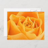 Carte Postale Rose orange (Devant / Derrière)