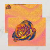 Carte postale Rose orange (Devant / Derrière)