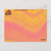 Carte postale Rose orange (Dos)