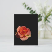 Carte Postale Rose orange 2 (Debout devant)